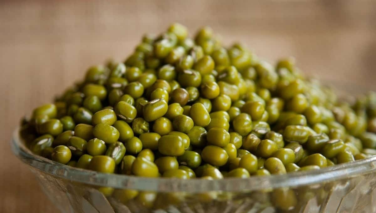 فوائد الماش للعظام