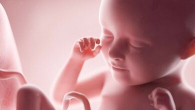 حكم اجهاض الجنين