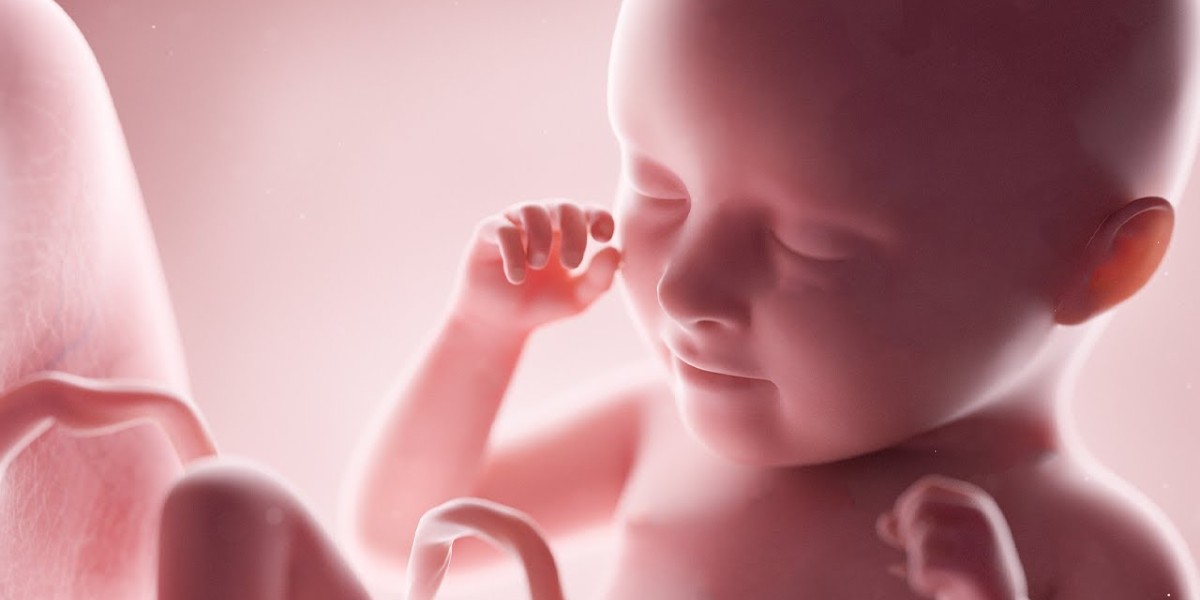 حكم اجهاض الجنين قبل نفخ الروح في الاسلام 1 حكم اجهاض الجنين