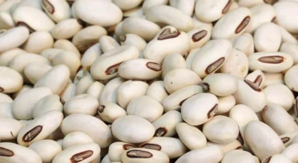 أضرار اللوبيا البيضاء