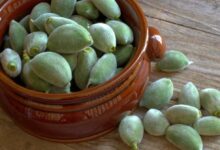 أهم أضرار اللوز الاخضر للجسم 26 أضرار اللوز الاخضر