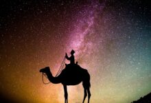 أهمية الدعوة إلى الله