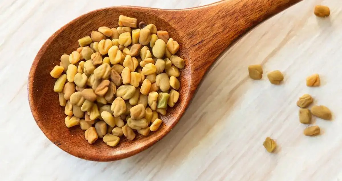 اضرار حب العزيز للتسمين