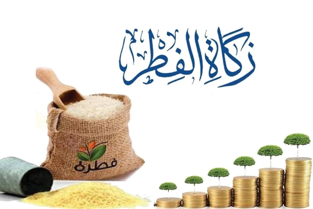 علي من تجب الزكاة