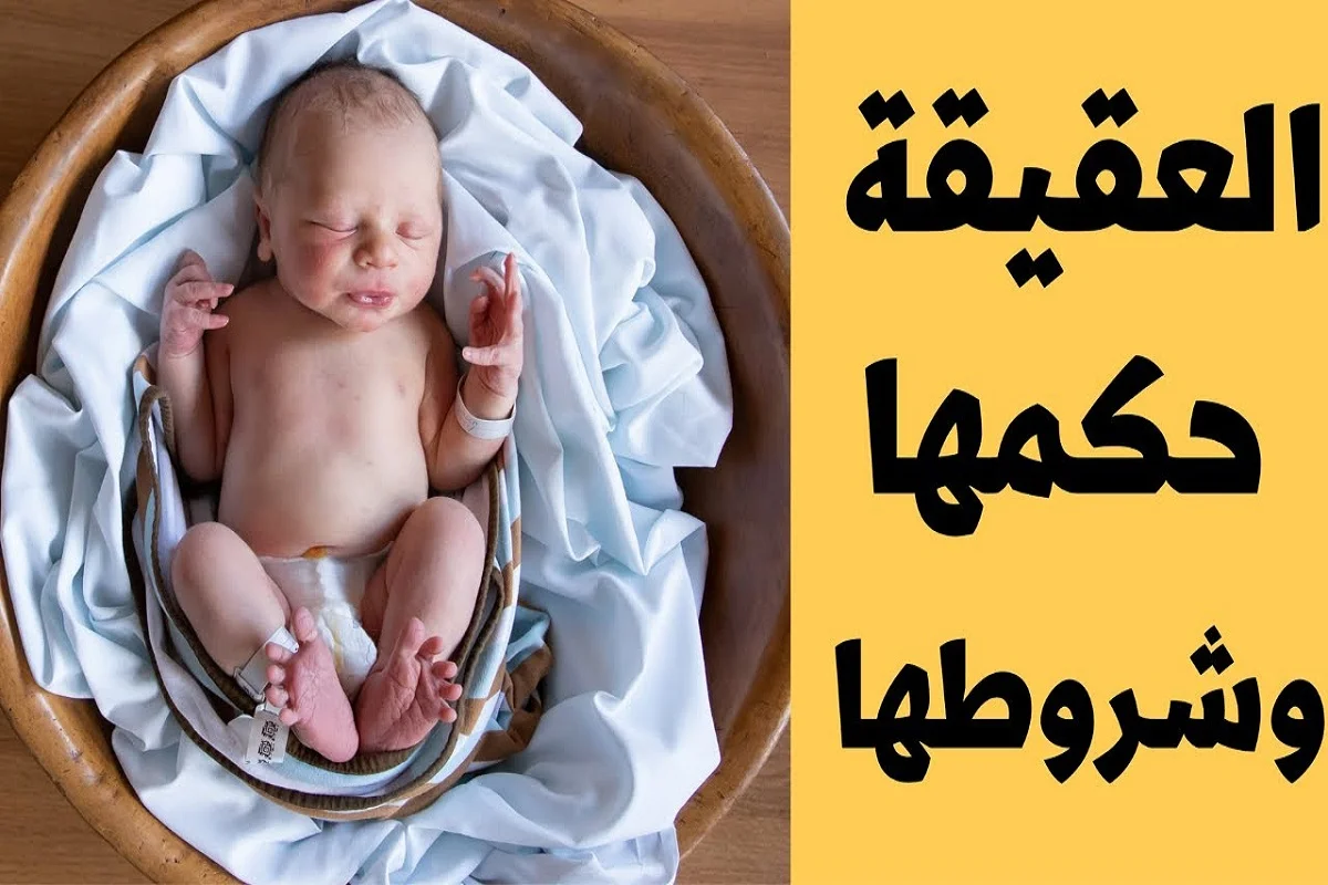 طريقة توزيع العقيقة