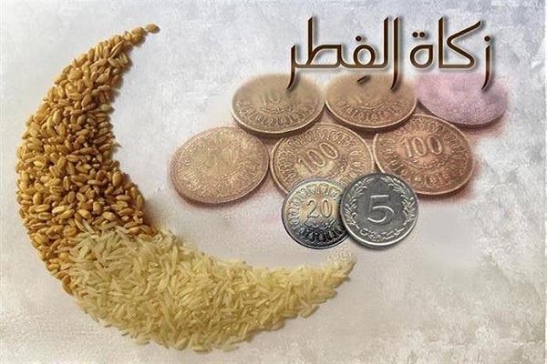 علي من تجب الزكاة