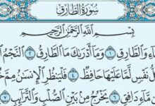 فضل سورة الطارق