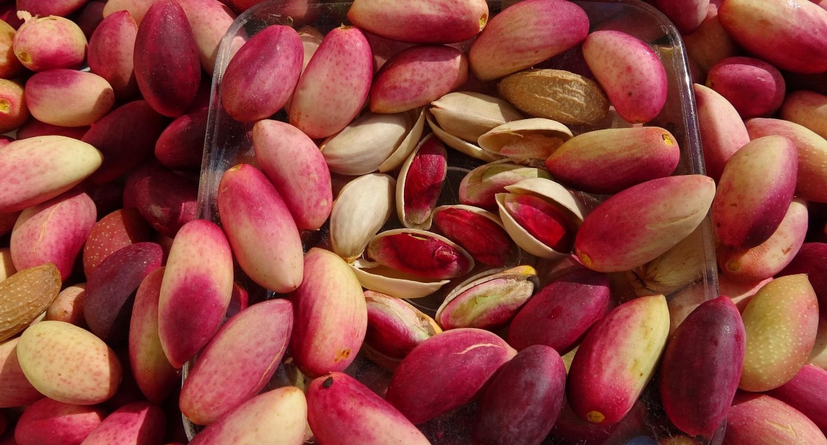 فوائد الفستق الحلبي
