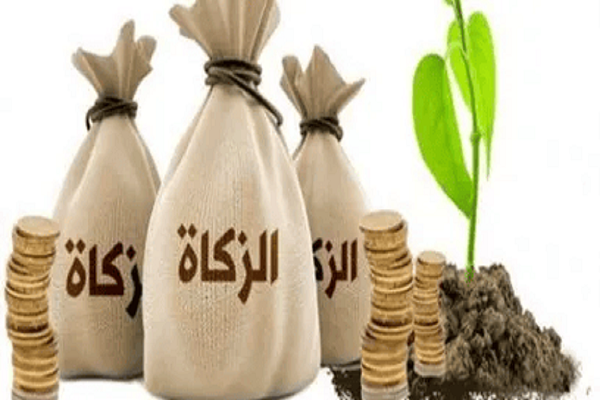 لمن تجوز زكاة المال