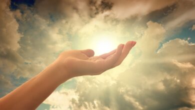 ماذا يقرأ في صلاة الشروق