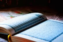 متى تخرج زكاة الزروع