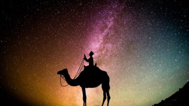 من هي أول شهيدة في الإسلام