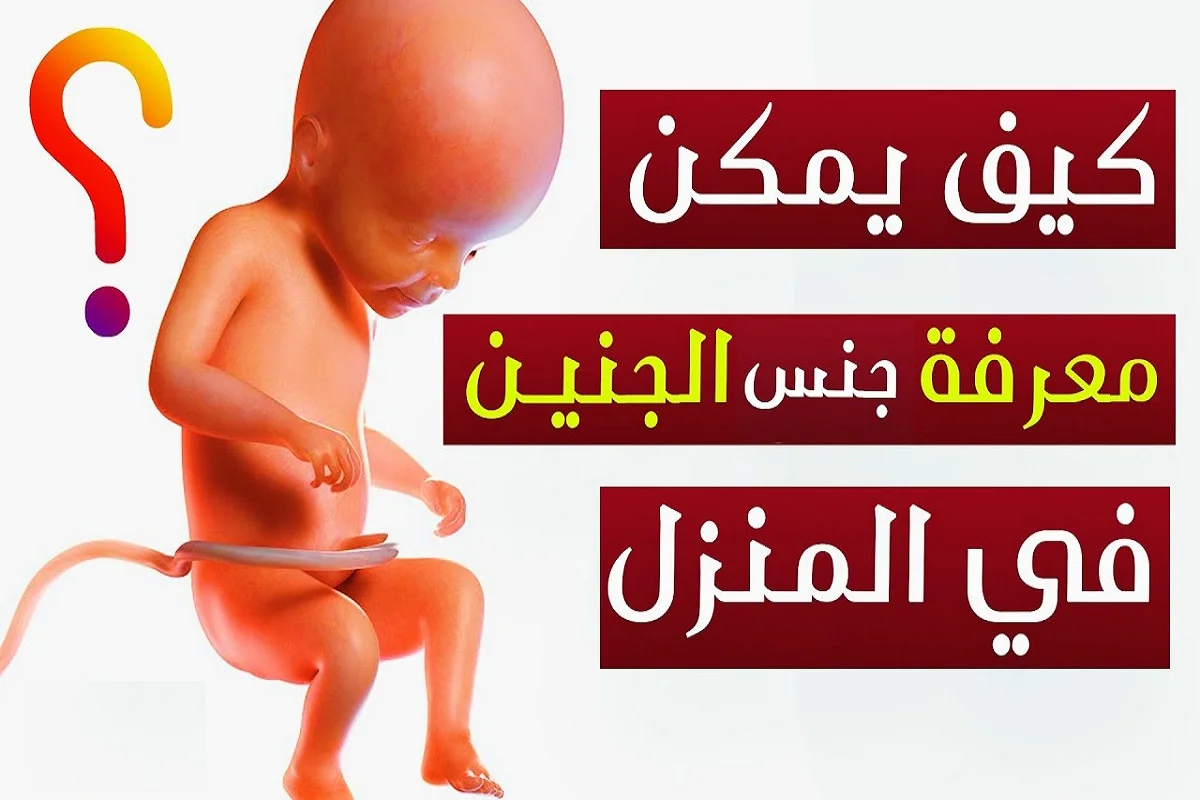 كيف اعرف نوع الجنين
