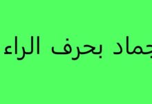 أسماء جماد بحرف الحاء