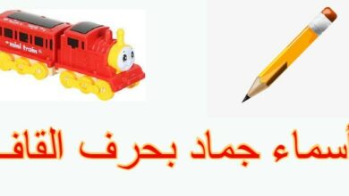 أسماء جماد بحرف القاف 1