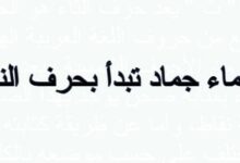 أسماء جماد تبدأ بحرف النون