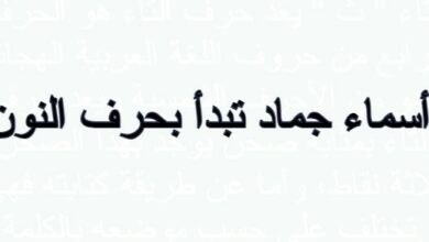 أسماء جماد تبدأ بحرف النون