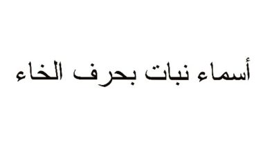 أسماء نبات بحرف الخاء