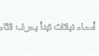 أسماء نباتات تبدأ بحرف الثاء