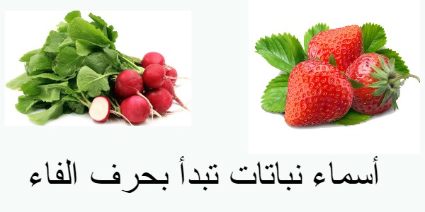 أسماء نباتات تبدأ بحرف الفاء