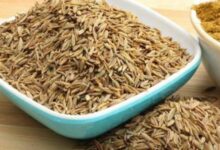 أهم أضرار الكمون للصحة وكيفية تجنبها 27 أضرار الكمون