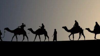 أهمية دراسة السيرة النبوية