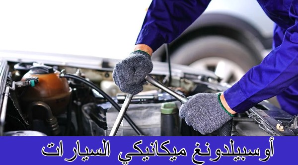 أوسبيلدونغ ميكانيكي السيارات