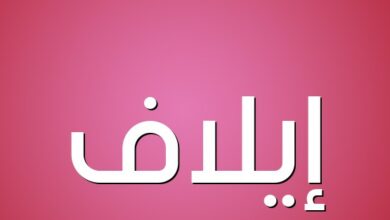اسم ايلاف