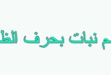 اسم نبات بحرف الظاء
