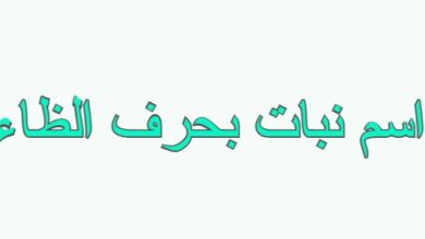 اسم نبات بحرف الظاء