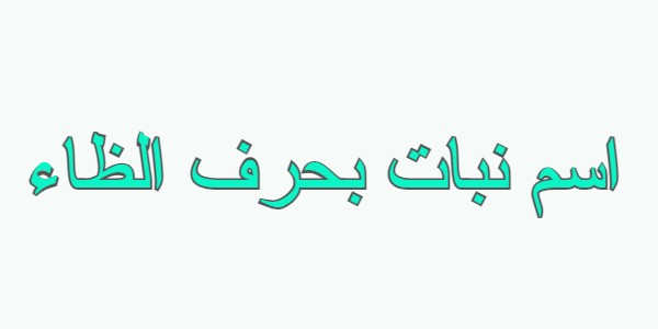 اسم نبات بحرف الظاء