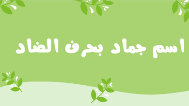 اسماء جماد بحرف الضاد