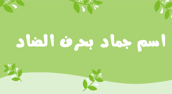 اسماء جماد بحرف الضاد