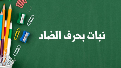 اسماء نبات بحرف الضاد