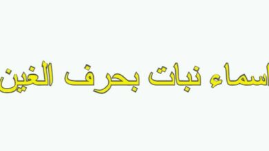 اسماء نبات بحرف الغين 1
