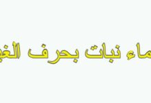 اسماء نبات بحرف الغين