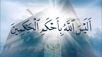 اليس بأحكم الحاكمين e1686725129785