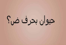 حرف الضاد