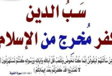 حكم سب الدين