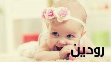 رودين