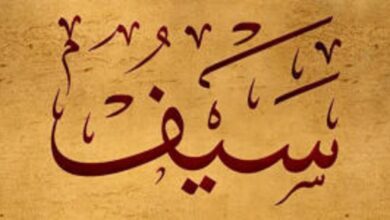 سيف معنى