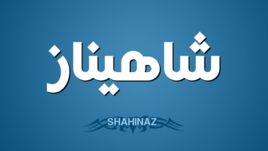 شهيناز e1686045767494