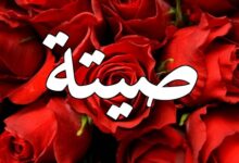 صيتة1 e1685864838101