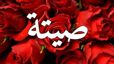 صيتة1 e1685864838101