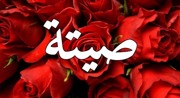 صيتة1 e1685864838101