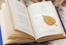 كان يوم حبك أجمل صدفه 22 كان يوم حبك أجمل صدفه