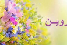 معنى روين