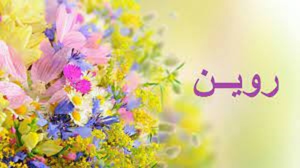 معنى روين