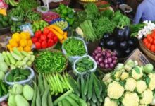 خضر بحرف التاء