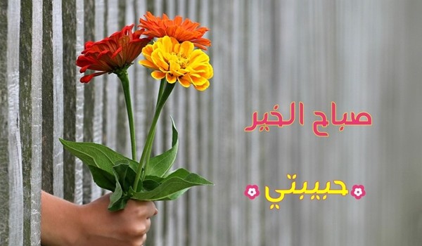 دعاء صباح الخير حبيبتي دعاء